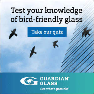 take the quiz from guardian glass to test your knowledge of bird friendly glass